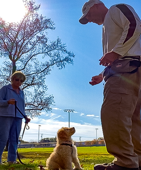 dog trainer with a sitting dog and standing owner